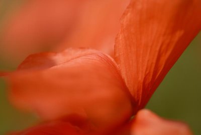 _DSC6330.jpg