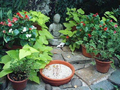 Liz Christy Garden