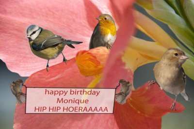 gelukkige verjaardag Monique