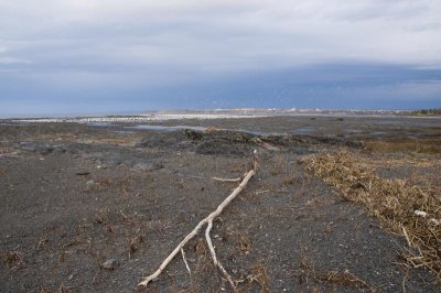 _DSC4095