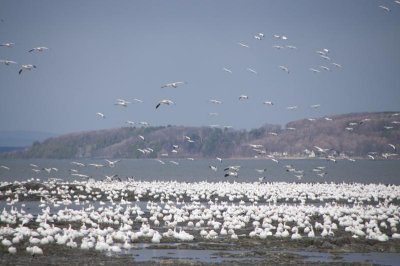 _DSC4060