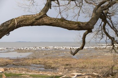 _DSC4055