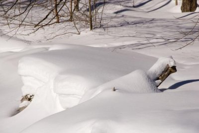 visage de neige