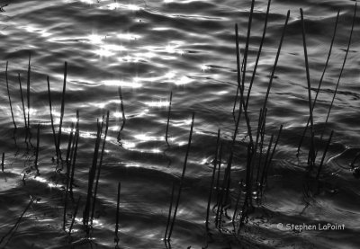 Moreau Lake BW.jpg