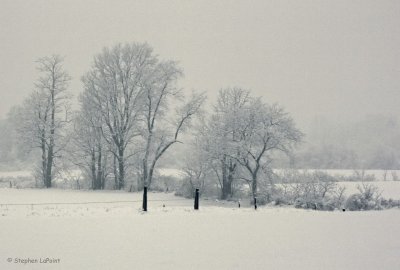 Snow Field.jpg