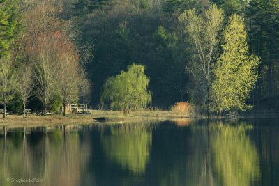 Spring at the Pond.jpg