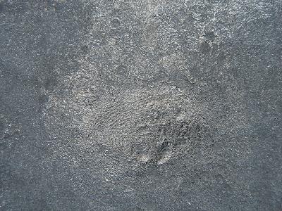 frozen fingerprint