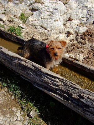 DSCF0691.jpg