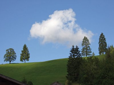 DSCF0734.jpg