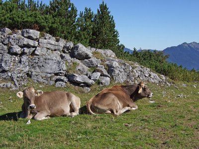 DSCF0790.jpg