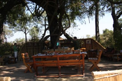 the dinner and bar area