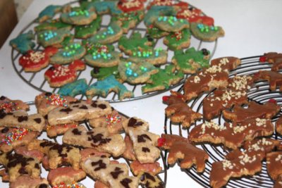 einige unserer Weihnachtspltzchen / some of our Christmas biscuits