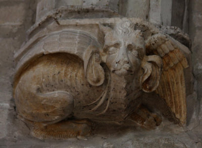 Drachen und andere Merkwürdigkeiten in Avignon / dragons and other oddities in Avignon