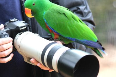 John and friend 2: interested in the lens