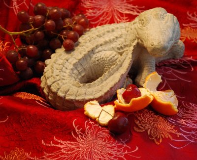 Alligator and Fruit