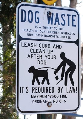 Dog Waste