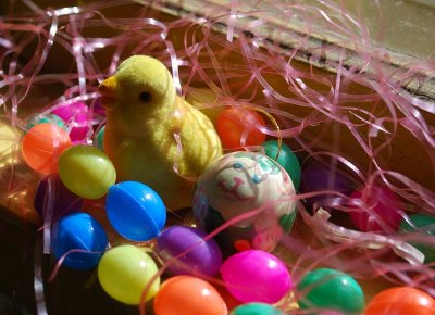 Little Chick