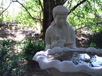 Buddha Contemplating Pond