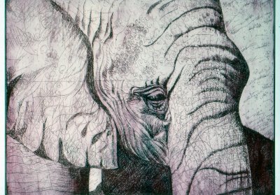 Elephant, Copper Plate Etching