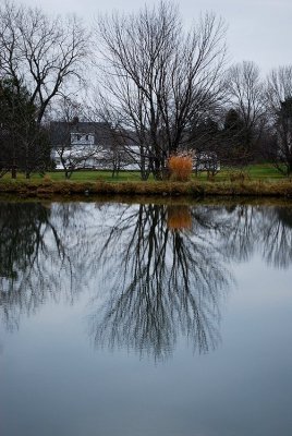 November Reflections