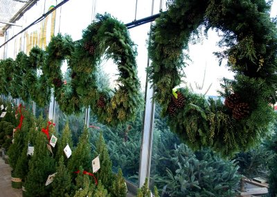Winter Wreaths For Sale