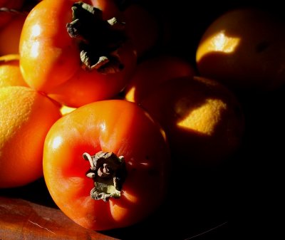 Persimmons In Light