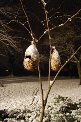 Birdhouses In Snow