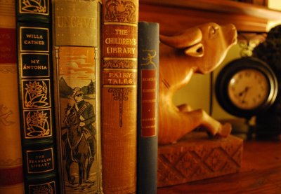 Old Books And A Water Buffalo