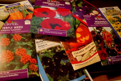 Spring Seeds