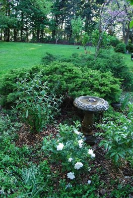 Spring Garden