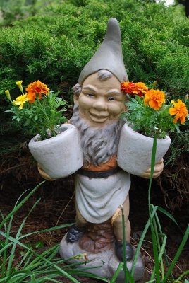 Homeless Gnome Finds Home