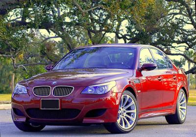 M5-Crop_4526.jpg