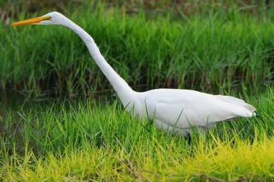 GWE_0241.jpg