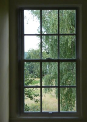 Window