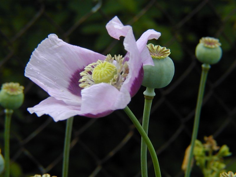 Image013.jpg