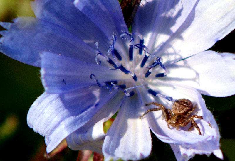 DSC01390a.jpg