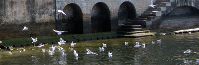 Lake Como 2007-16.jpg