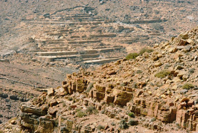 Musandam the mountain and the sea