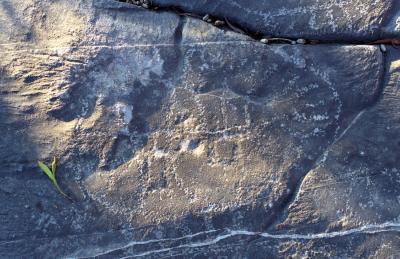 Musandam the mountain and the sea, petroglyph