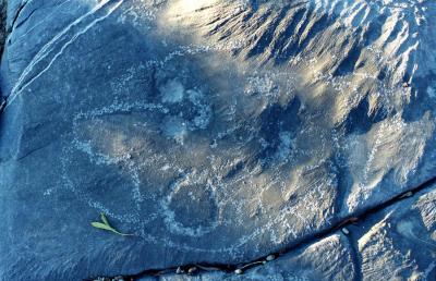 Musandam the mountain and the sea, petroglyph