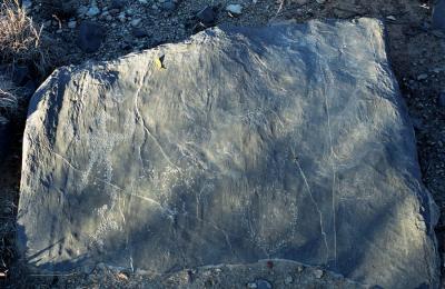 Musandam the mountain and the sea, petroglyph