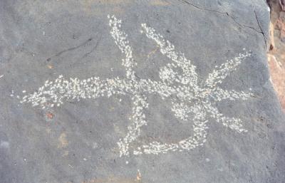 Musandam the mountain and the sea, petroglyph