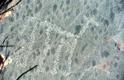 Musandam the mountain and the sea, petroglyph