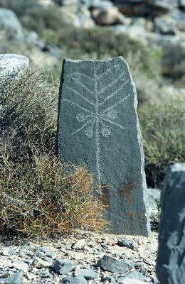 Musandam the mountain and the sea, petroglyph