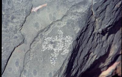 Musandam the mountain and the sea, petroglyph
