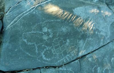 Musandam the mountain and the sea, petroglyph