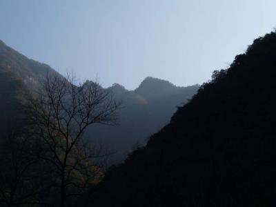 PC041182.jpg