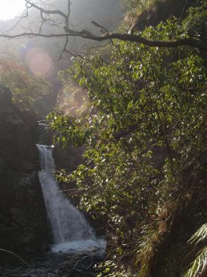 PC041232.jpg