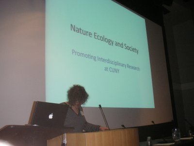 nes2010