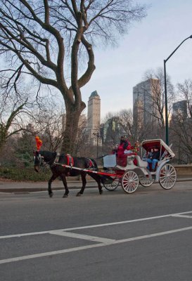 IMG_2825.jpg
